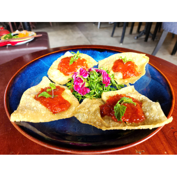 Fired Wonton